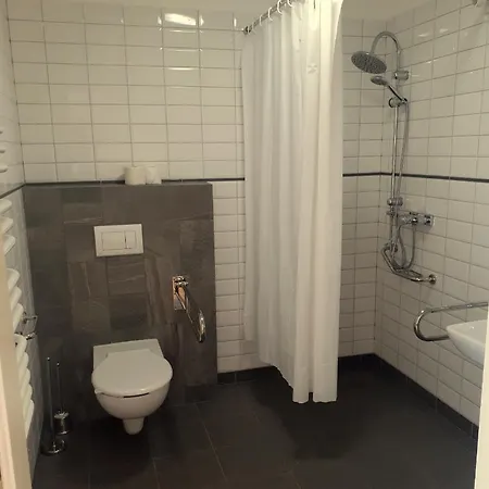 Kasztanowy Palac فندق Swadzim