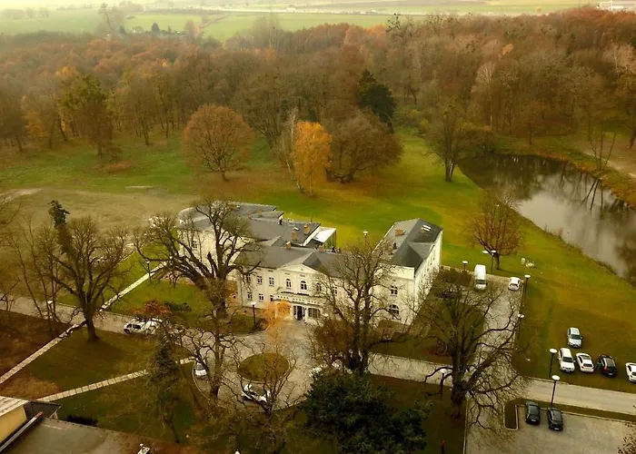 酒店 Kasztanowy Palac Swadzim